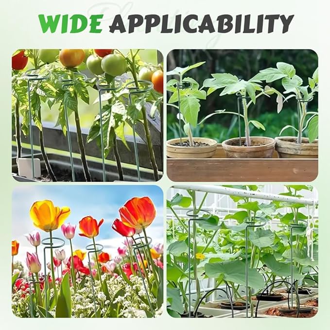 4/8/12 Pack Plant Stakes, 16/24/36 Inch Plant Support Stakes, 2025 New Plant Sticks Support, Flower Stakes for Plants Peony, Tomato Seedling, Marigold, Amaryllis, Sapling, Coreopsis (36 Inch-4 Pack)