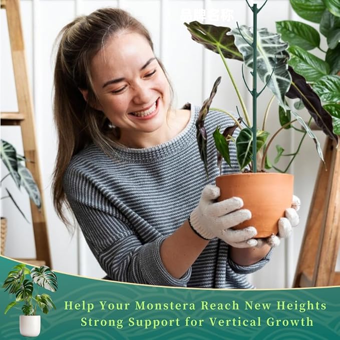 5 Pack Stackable Monstera Plant Support Stakes, 38inch Climbing Garden Plant Support Sticks Structures with 20pcs Clips & Ties, for Indoor Outdoor Plants Alternative to Moss Pole