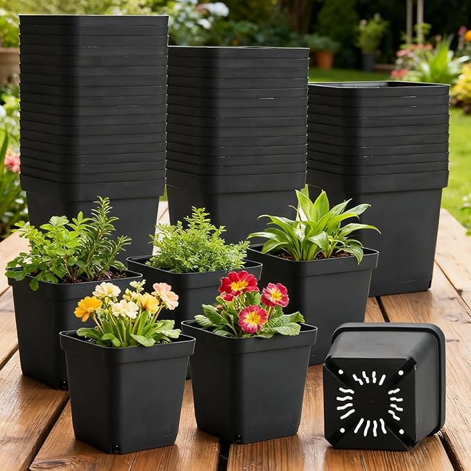 BTPLASTIK Square Nursery Pots 5.5 Inch, 50Pcs Plastic Sturdy Reusable Seedling Pots with Drainage Holes, Garden Flower Planters for Indoor/Outdoor, Transplanting, Succulents, Cuttings, Black