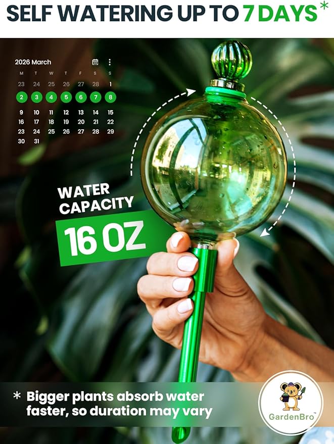 16 Oz Plant Watering Globes for Indoor Plants with Metal Self Watering Planter Insert - Premium XL Glass Hand-Blown Globe - Automatic Plant Waterer Indoor, Gift Idea for Gardeners [1 Globe, Green]