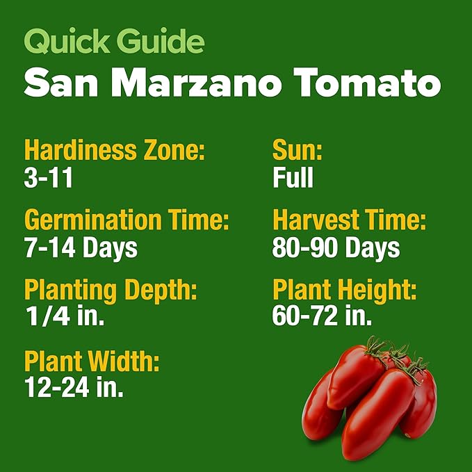 HOME GROWN San Marzano Tomato Seeds 66 Heirloom, High Germination Tomatoes for Indoor & Outdoor Growing Classic Paste Variety for Gardeners & Home Use