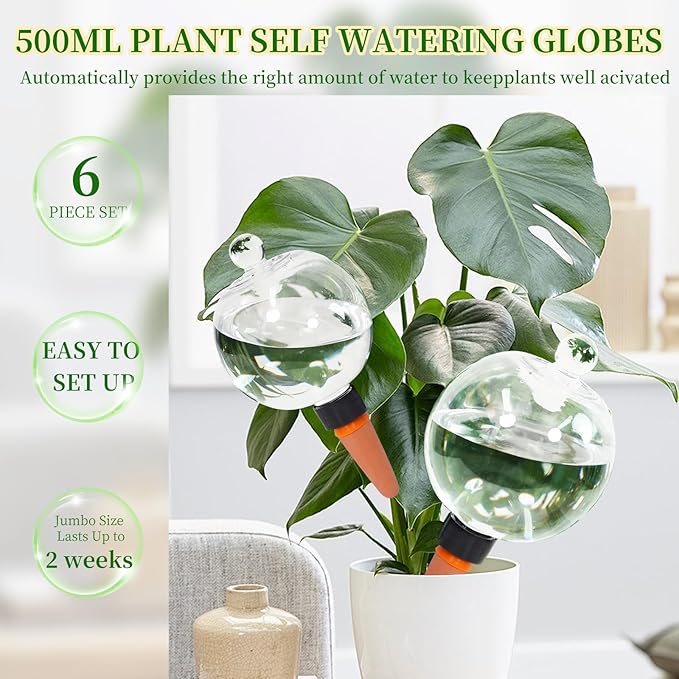 6pcs Plant Self Watering Globes with Covers, Plastic Water Bulbs Top Fill, Plant Watering Devices System Slow Release Terracotta, Water Spikes Stakes for Indoor (6)