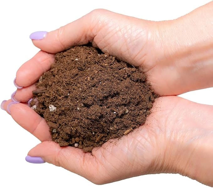 Gardenera Fiddle Leaf Fig House Plant Soil Premium All Purpose Blend - Peat Moss, New Zealand Bark, Coco Chips and Fibers, Perlite - 1 Quart Bag