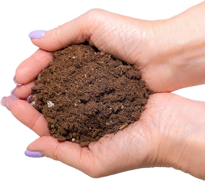 GARDENERA Citrus Tree Potting Soil Mix, Special Blend for Indoor Oranges, Lemons, Limes and More - (4 Quart Bag)