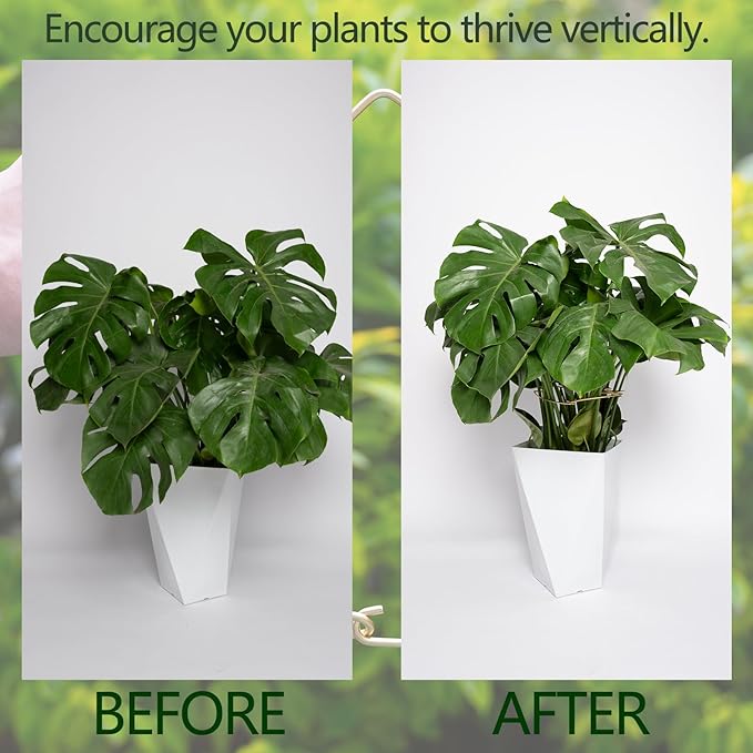 Goooxim 5PCS 11 * 9.4 Inch Monstera Plant Support Stem - Premium Adjustable Leaf Holder & Fishbone Cactus Stake, Durable Gardening Tool for Climbing Plants, Easy Installation & Enhanced Stability