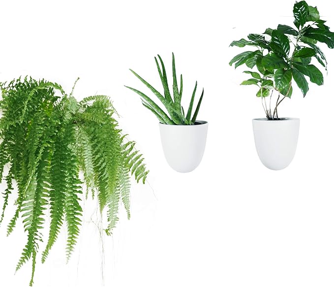 Make Good PlantPod Luxe Self-Watering Wall Planters (Set of 3) - Easy to Water and Install - Lightweight - Design Your Own Vertical Garden - Wall Planters for Indoor Plants