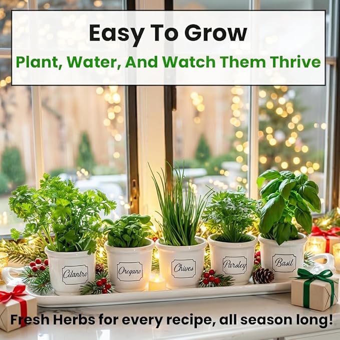 5 Herb Seeds Variety Kit, Oregano, Cilantro, Parsley, Basil, Chives