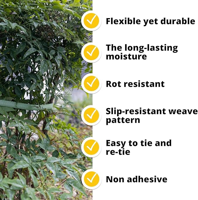 Green Tree Tie Webbing Strap 3/4" x 250' - Heavy Duty Tree Straps for Staking, Guying, Securing & Outdoor Use - Garden Ties Webbing Flat Rope for Heavy Plants & Trees Support by IDL Packaging
