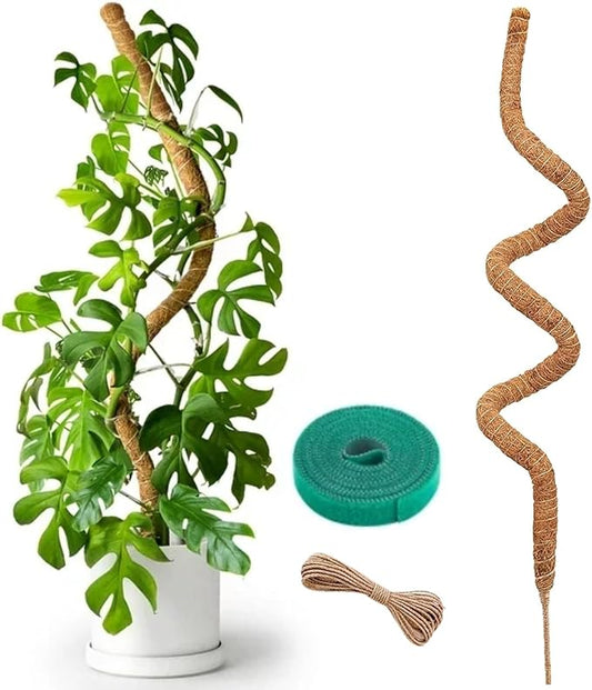Auraville Moss Pole Monstera Plant Support | 48 Inch Plant Stakes for Indoor Plants | Coconut Palm Fiber Moss Poles for Climbing Plants | Handmade Plant Sticks Support Tall Monstera, Pothos & More