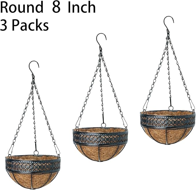 3-Pack Hanging & Wall-Mounted Plant Baskets with Natural Coconut Fiber Liner, Decorative Planters for Home Garden Patio Yard (3Pack EXPHanger, 8Inch)