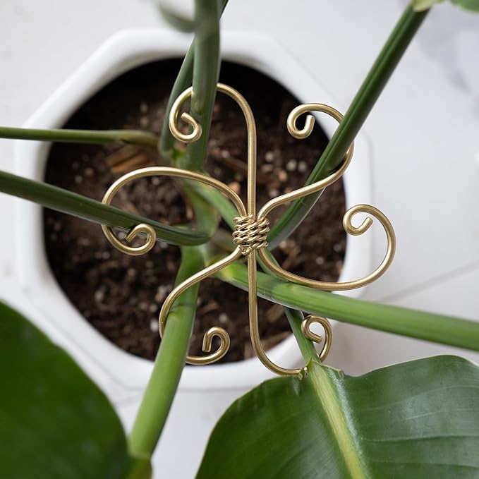 Goooxim 5PCS Plant Stem Support - Durable 5pcs Iron Grapple Holder for Monstera & Climbing Plants, Unique Design for Optimal Growth, Bamboo Clamp Set for Leaf Stabilization and Support (Gold)