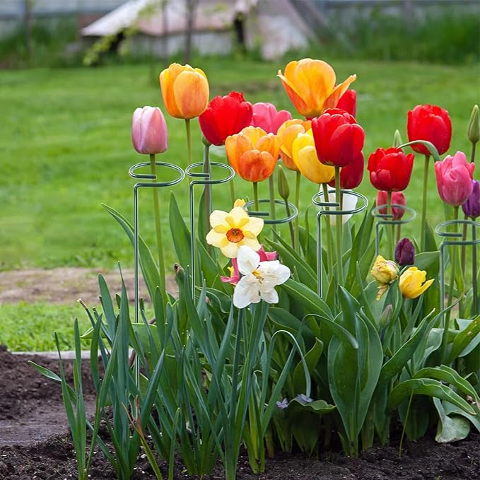 Thealyn 36 Inch 12 Packs Plant Support Stakes,Garden Single stemmed Plant Support Hoops, Plant Prop, for Flowers,Orchid, Tomatoes Peony Lily Rose (36 inch)