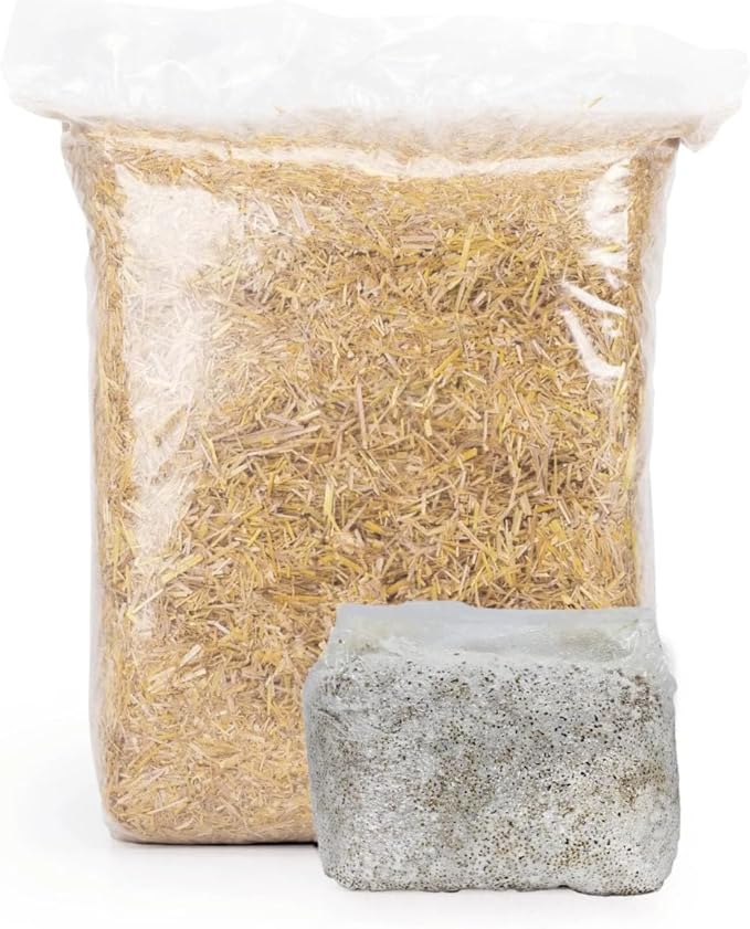 North Spore 'MushBucket' Italian Oyster Mushroom Bucket Grow Kit | Grow Mushrooms | Organic Mushroom Grow Kit