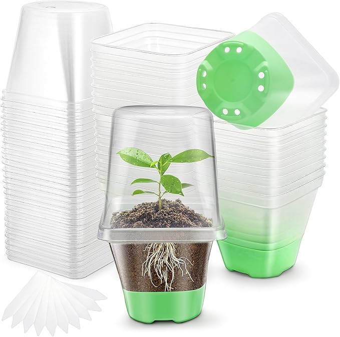 Sckee Clear Nursery Pots for Plants,30 Packs Seed Starting Pots 3.1 inch Plastic Plant Pot Seedling Pots with Drainage Holes Plant Nursery Pots with Silicone Base Seed Starting Pot