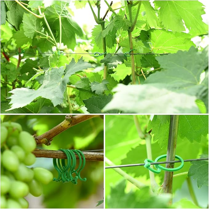 TELENT OUTDOORS 80 Feet Green Plant Twist Ties, Soft Plant ties for Support with 20 PCS Clips, Gardening Supplies for Plants Office Home Organization 3mm Diameter
