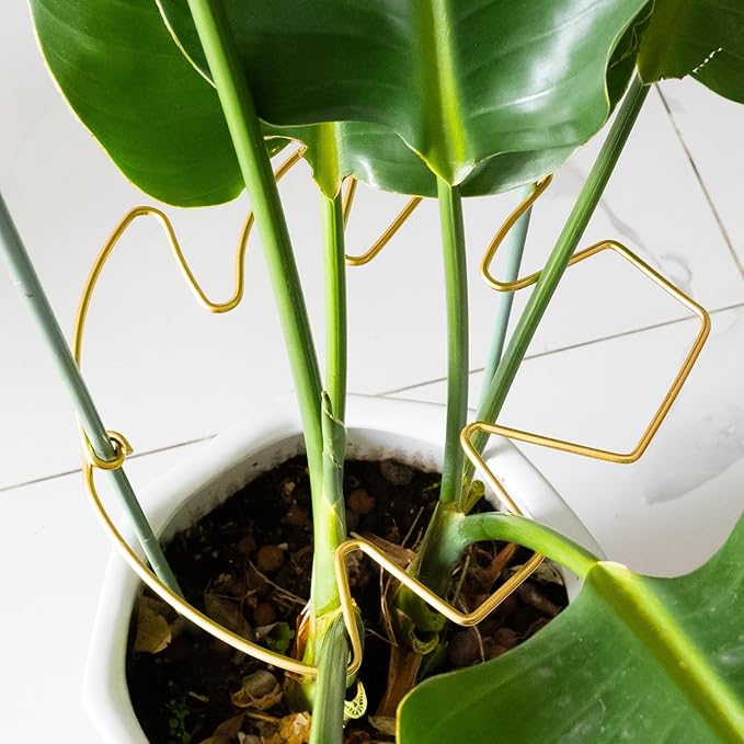 Goooxim 5PCS 11 * 9.4 Inch Monstera Plant Support Stem - Premium Adjustable Leaf Holder & Fishbone Cactus Stake, Durable Gardening Tool for Climbing Plants, Easy Installation & Enhanced Stability