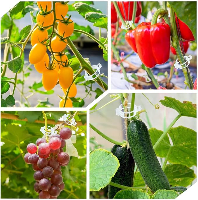 PEOUWNES 200 Pcs Plant Support Garden Clips, Tomato Clips, Crop Clips for Vine Vegetables, Fixing Tomato, Sweet Pepper, Eggplant, Makes Plants Grow Upright and Healthier