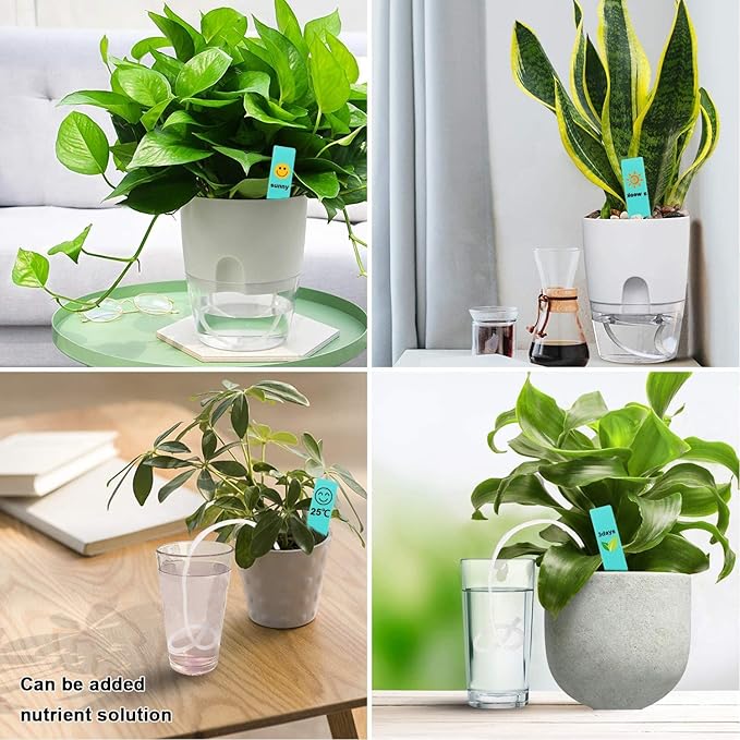 Augshy 1/4 Inches Self Watering Wick Cord String, Cotton Rope for DIY Plant Automatic Watering Device (70 Feet)