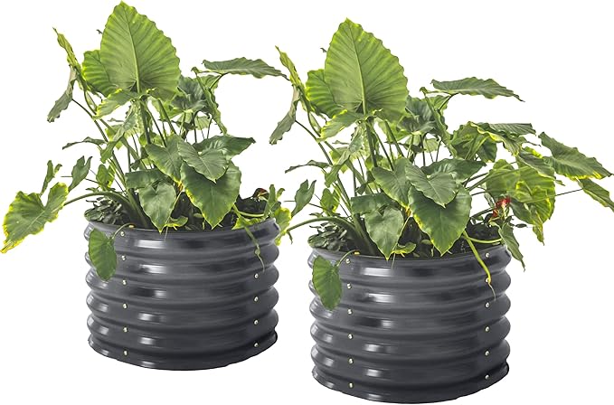 17" Tall Herb Raised Garden Bed for Basil Lavender Sages, 24" Wide Round Fruit Tomato Planter Box for Gardening Blueberries Figs, Flower Metal Pot Container for Rose, Twin Pack, Modern Gray
