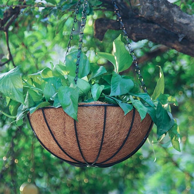 Metal Hanging Planters Basket Set of 3 Hanging Flower Pots 12 Inch Chain Round Wire Plant Holder with Coco Coir Liner Garden Watering Hanging Baskets for Patio Garden Outdoor1