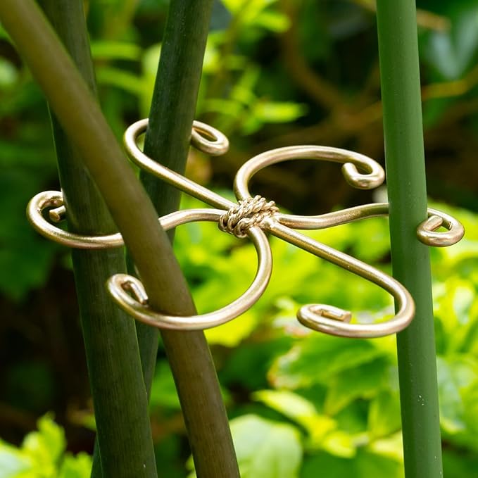 Goooxim 5Pcs Monstera Plant Stem Support Hook (2.75x2.75 inches) - Durable Metal Stem Support for Monstera & Fishbone Cactus, Easy Installation, Ideal Gift for Plant Lovers & Home Decor