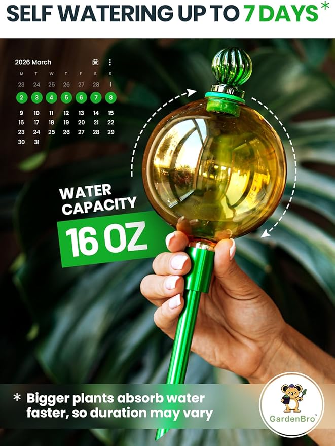 16 Oz Plant Watering Globes for Indoor Plants with Metal Self Watering Planter Insert - Premium XL Glass Hand-Blown Globe - Automatic Plant Waterer Indoor, Gift Idea for Gardeners [1 Globe, Golden]