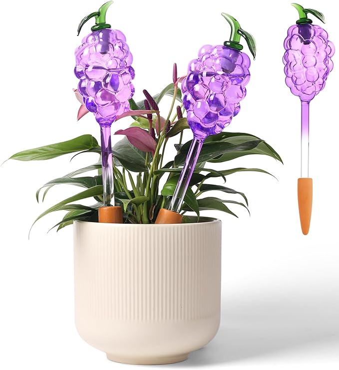 Plant Watering Globes, Grape Shape Self Watering Globes, Plant Watering Devices, 3PCS Purple+Green Color Clear Glass Bulbs Self Watering Planter Insert