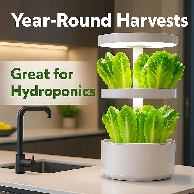 Romaine Lettuce Seeds – Parris Island Cos, 8000+ Heirloom Non-GMO Seeds, High Germination Bulk Pack, Grown in USA – Ideal for Indoor Hydroponic & Outdoor Vegetable Gardens