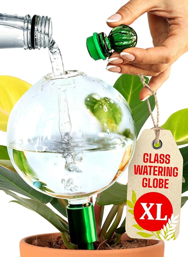 16 Oz Plant Watering Globes for Indoor Plants with Metal Self Watering Planter Insert - Premium XL Glass Hand-Blown Globe - Automatic Plant Waterer Indoor, Gift Idea for Gardeners [1 Globe, Clear]