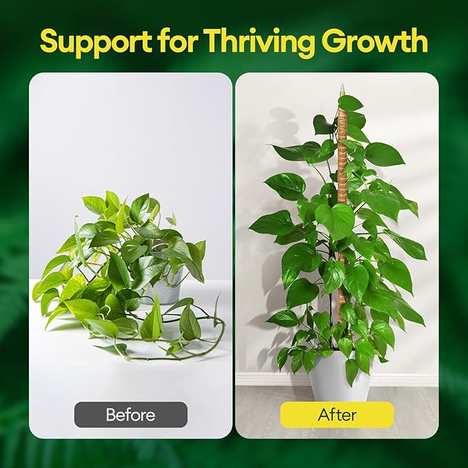 Maygrove 3-Pack 28” Bendable Moss Pole Monstera Plant Support for Climbing Indoors Plants, Coir Moss Poles Sticks DIY, Plant Support Stake for Potted Plants