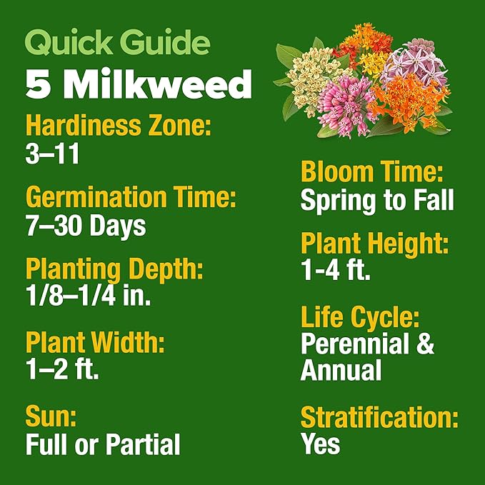 HOME GROWN Milkweed Flower Seeds - 500+ Heirloom Perennial Wildflower Seeds (5 Individual Varieties) Supports Monarch Habitat, Grows in Zones 310 (Asclepias syriaca)