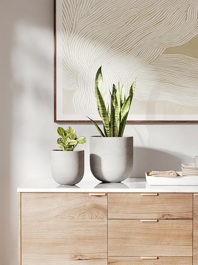 LE TAUCI 8 Inch Plant Pot, Ceramic Pot with Drainage Hole & Rubber Plug, Indoor Planter for Herbs & Small Houseplants, Cylinder Planter for Home Office, Neutral Gray