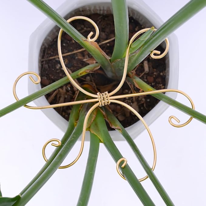 Yohsnor Monstera Plant Stem Support Set of 5 - Durable 7.5in Indoor Stabilizers for Fishbone Cactus - Enhances Growth & Home Decor - Ideal Plant Care Solution
