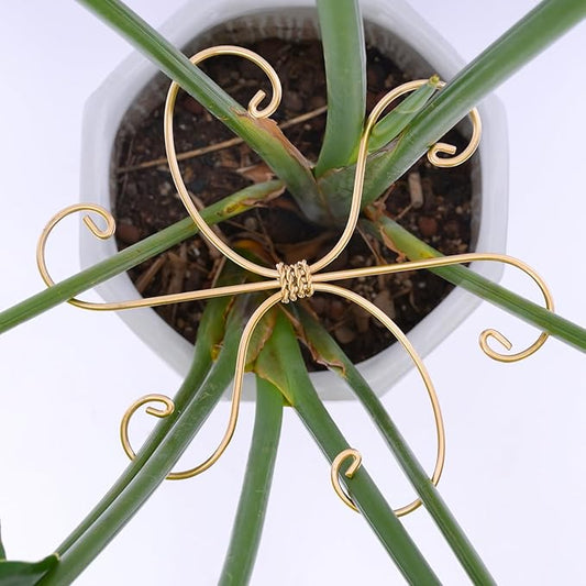 Yohsnor Monstera Plant Stem Support Set of 5 - Durable 7.5in Indoor Stabilizers for Fishbone Cactus - Enhances Growth & Home Decor - Ideal Plant Care Solution