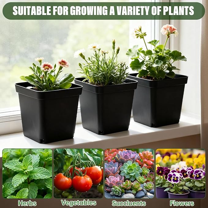 BTPLASTIK Square Nursery Pots 5.5 Inch, 50Pcs Plastic Sturdy Reusable Seedling Pots with Drainage Holes, Garden Flower Planters for Indoor/Outdoor, Transplanting, Succulents, Cuttings, Black