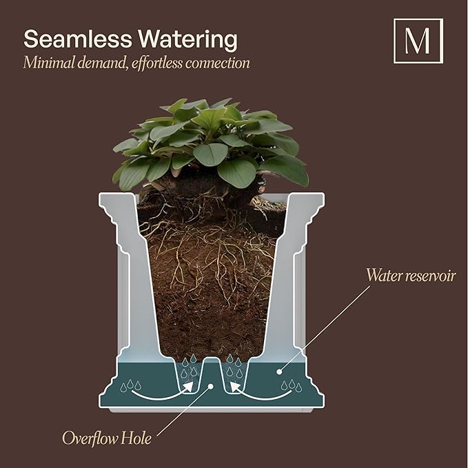 Mayne Fairview 3ft Durable Self Watering Window Box Planter with Wall Mount Brackets, UV & Weather Resistant, Double Wall Design, New England Architecture for Outdoor Décor, Black