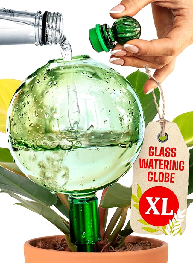16 Oz Plant Watering Globes for Indoor Plants with Metal Self Watering Planter Insert - Premium XL Glass Hand-Blown Globe - Automatic Plant Waterer Indoor, Gift Idea for Gardeners [1 Globe, Green]