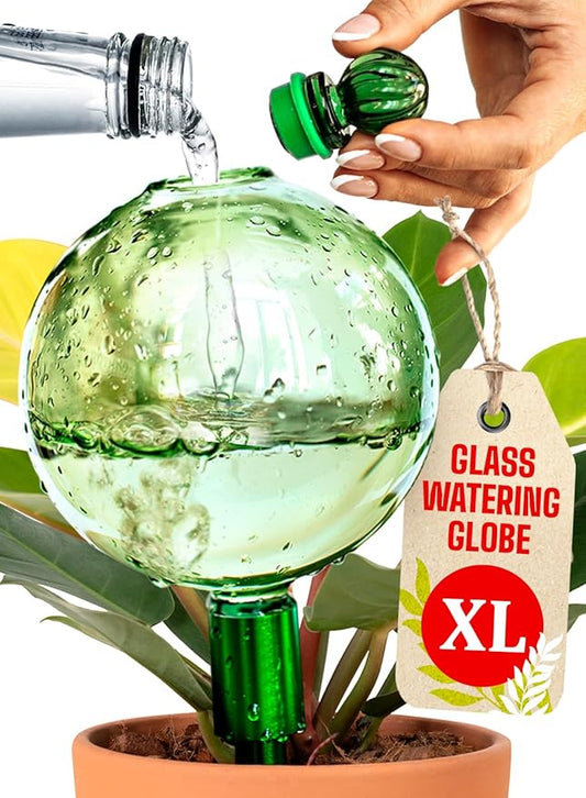 16 Oz Plant Watering Globes for Indoor Plants with Metal Self Watering Planter Insert - Premium XL Glass Hand-Blown Globe - Automatic Plant Waterer Indoor, Gift Idea for Gardeners [1 Globe, Green]