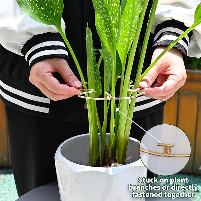 GOOOXIM 5.5 * 4.7IN Monstera Stem Support Stake with Clips - 5Pcs Durable Climbing Plant Support for Monstera, Fishbone Cactus, Easy Installation, for Plant Lovers