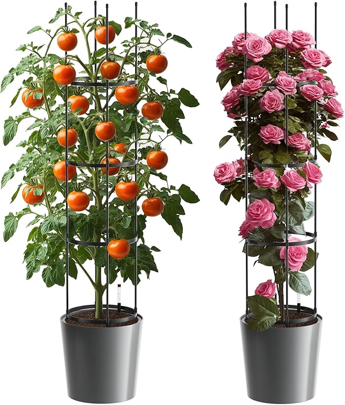SUNYRISY 2Pack Planter Box with Tomato Cage, Self Watering Tomato Planter Box with Trellis, Raised Garden Bed with Wheels for Climbing Plants Vegetable Vine Flowers Outdoor Patio, Grey