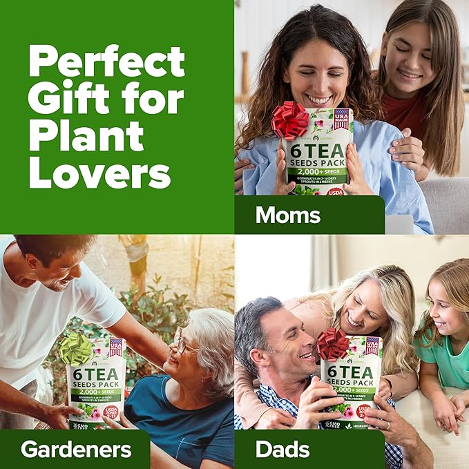 HOME GROWN Medicinal Herb Seeds Vault – 2,000+ Seeds, 6 Non GMO Heirloom Varieties for Indoor & Outdoor Garden – Lavender, Chamomile,Mint,Lemon Balm,Peppermint,Echinacea +Garden Markers