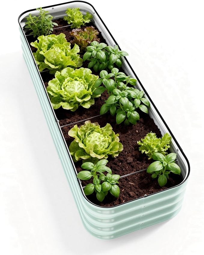 DaisyVibe Raised Garden Bed Kit, Planter Raised Garden Boxes Outdoor, Oval Large Metal Raised Garden Beds for Vegetables Flowers (Green, 8ftx2ftx1ft)