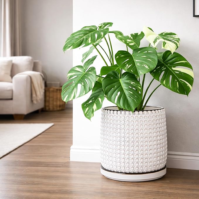 D'vine Dev 10 Inch Ceramic Beaded Stoneware Planter Pot - Flower Pot with Drainage Holes and Saucers for Indoor Succulent Plants or Flowers, Smoked White, 27-C-P-1