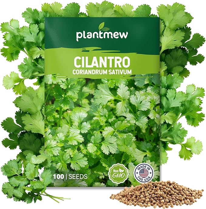Cilantro Seeds for Planting - 100+ Heirloom, Non-GMO Seeds - Herb Seeds Packet for Plating Home Garden, Herb Garden - Indoor/Outdoor, Easy to Grow