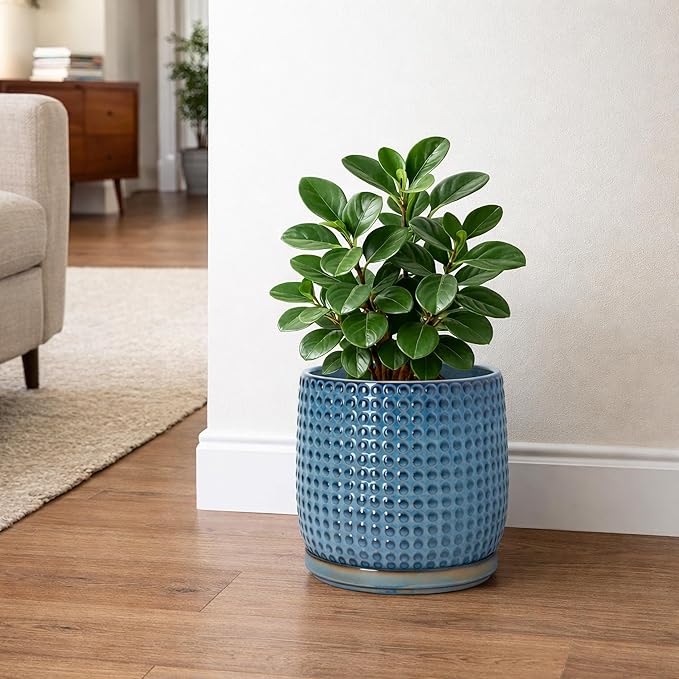 D'vine Dev 8 Inch Ceramic Beaded Stoneware Planter Pot - Flower Pot with Drainage Holes and Saucers for Indoor Succulent Plants or Flowers, Ocean Teal, 27-C-Q-8