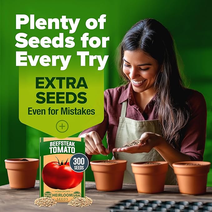 HOME GROWN Beefsteak Tomato Seed Pack - 300 Heirloom Tomato Seeds for Planting Outdoors High-Yield Non-GMO Vegetable Seeds for Growing Large, Meaty Tomatoes for Summer Dishes (Solanum lycopersicum)
