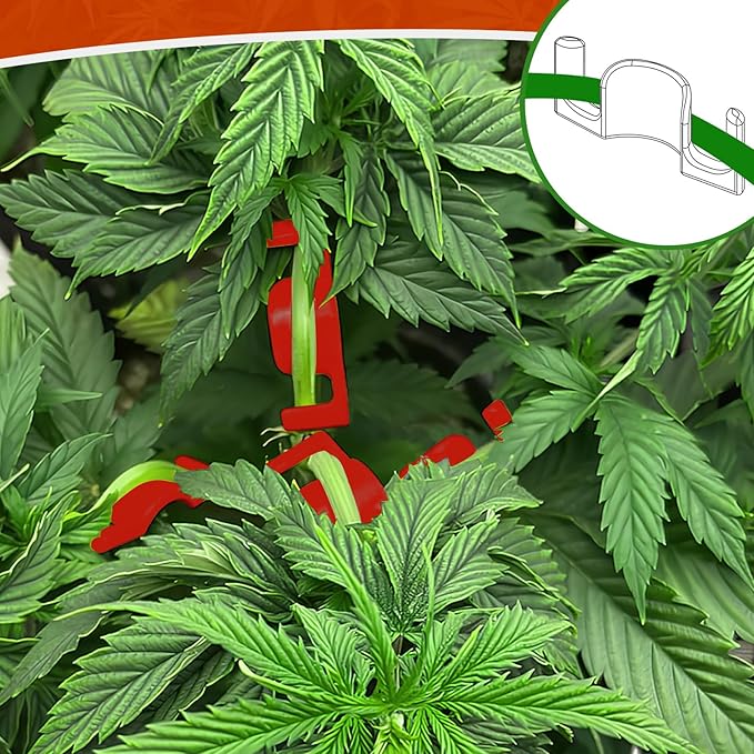 40 Pack LST Plant Training Clips – Durable & Reusable Stem Support for Low-Stress Training – Fits All Growth Stages