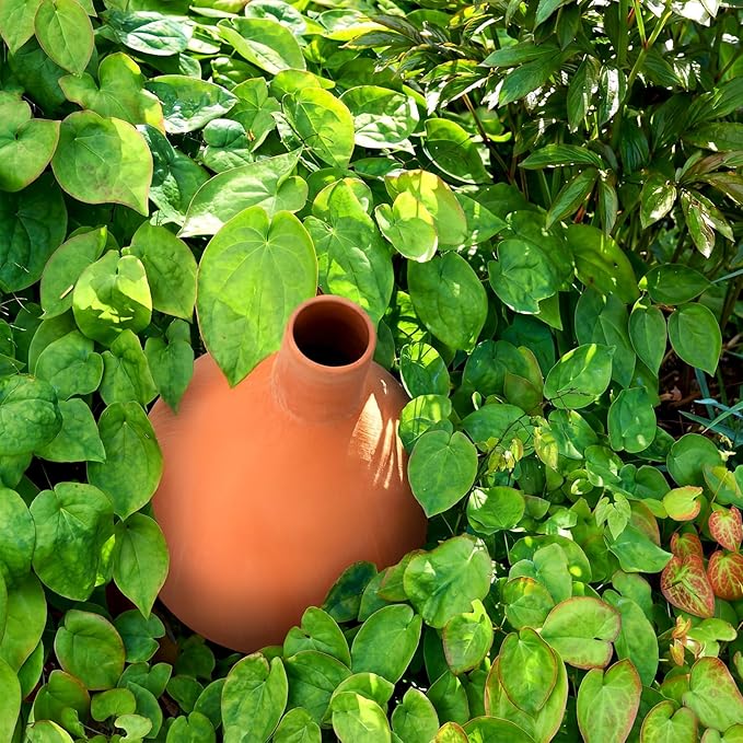 68 oz Large Olla Terracotta Self Watering Pots Terracotta Globes Clay Watering Pot with Lid Garden Irrigation Planter Insert Clay Pot Plant Waterers for Raised Beds Outdoor Indoor Plants