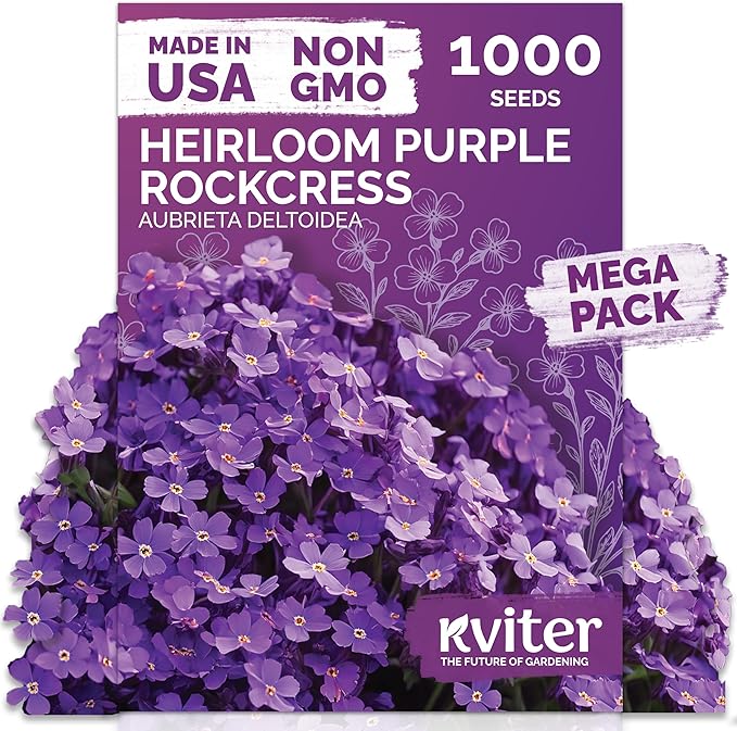 KVITER 1,000 Purple Rock Cress Seeds Perennial (Aubrieta deltoidea) - Aubrieta Seed, Lilacbush, Non-GMO & Organic Ground Cover Seed - Ideal Flower Seeds for Planting in Beds, Rock Garden & Walls