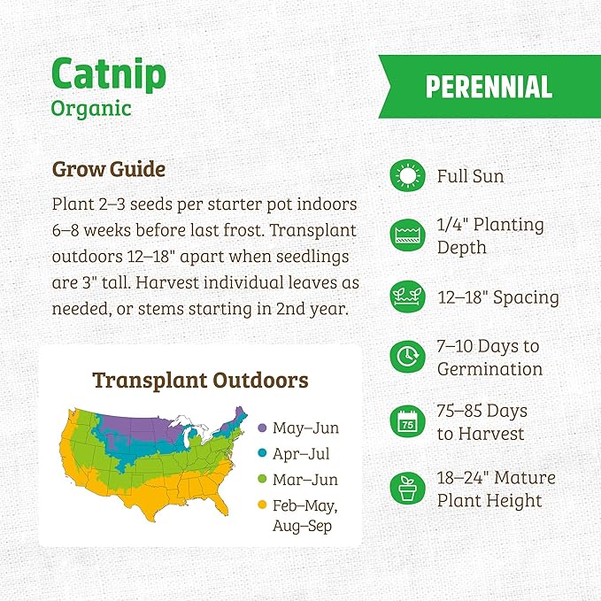 Back to The Roots 100% Organic Heirloom Seeds - Catnip Mint Seeds for Planting Value Pack (200mg Total)